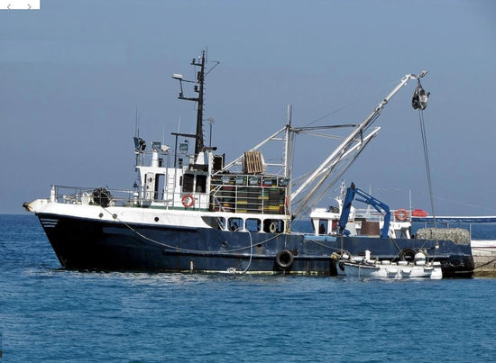 Peggy Lynn converted salvage trawler